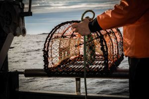 En kortfilm om hummerfiske. Vi följer fiskaren Björn Södergren i Fiskebäckskil inför årets höjdpunkt: hummerpremiären.