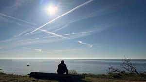 Att äga sin historia av Mattias Brännholm